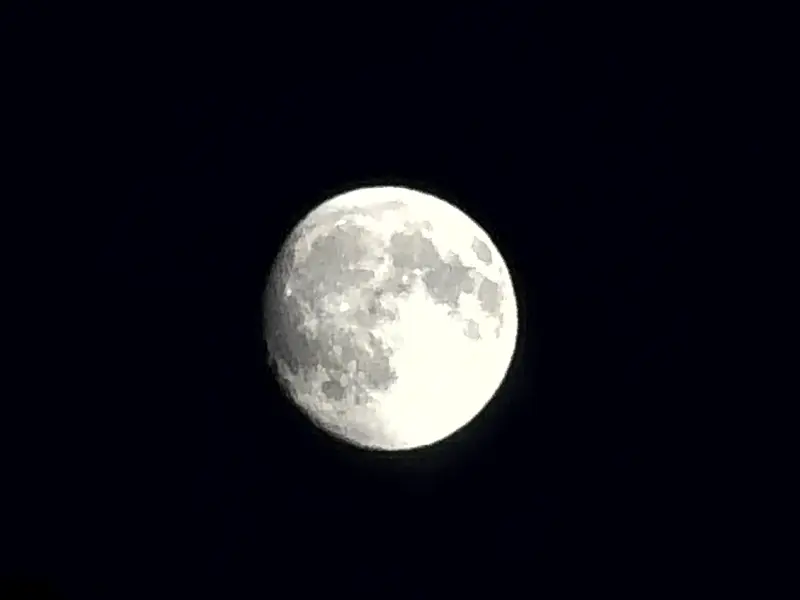 Mond 1