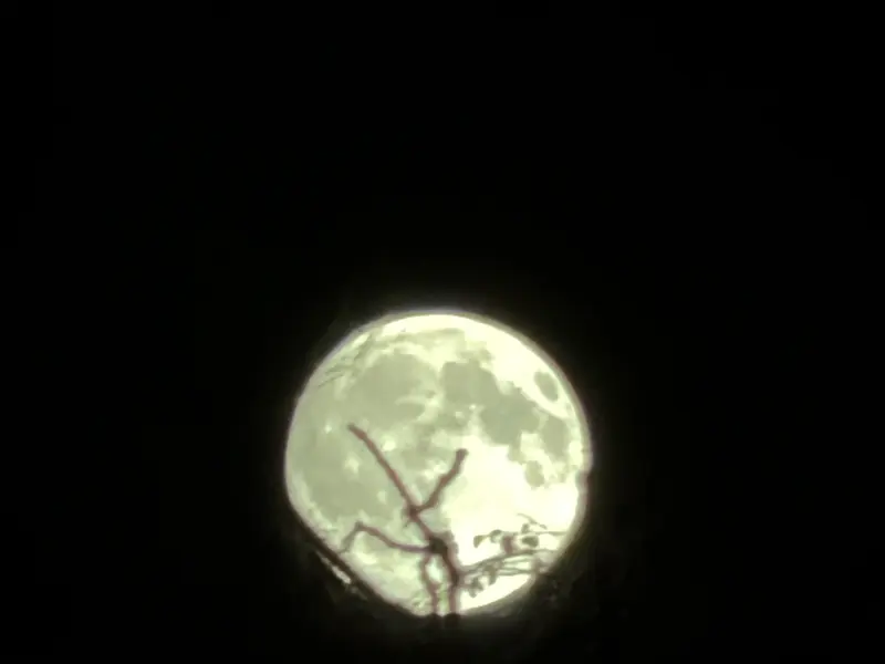 Mond 10