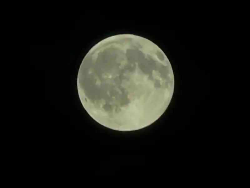Mond 7