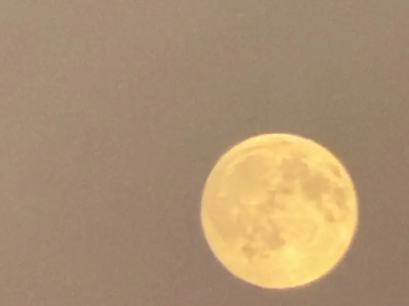 Mond 8