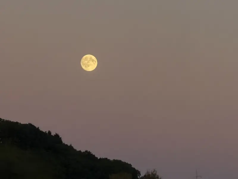 Mond 9